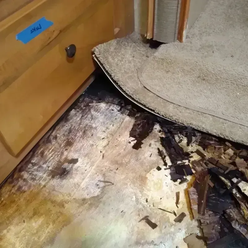 Best Wood Floor Water Damage Service in Laveen, AZ